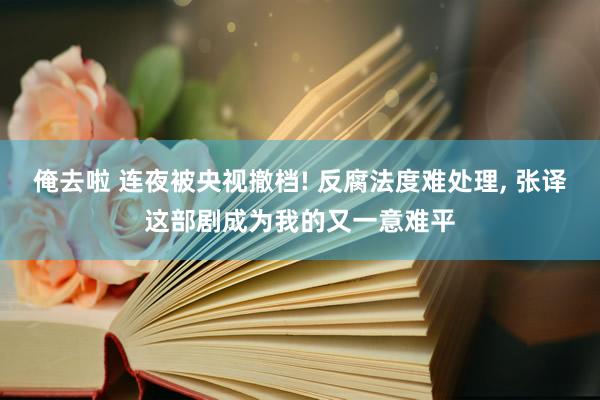 俺去啦 连夜被央视撤档! 反腐法度难处理， 张译这部剧成为我的又一意难平