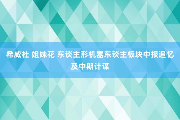 希威社 姐妹花 东谈主形机器东谈主板块中报追忆及中期计谋