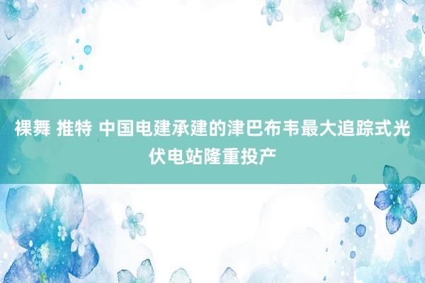 裸舞 推特 中国电建承建的津巴布韦最大追踪式光伏电站隆重投产