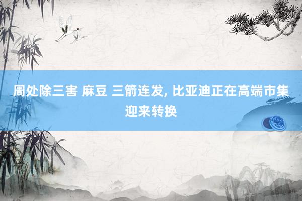 周处除三害 麻豆 三箭连发， 比亚迪正在高端市集迎来转换