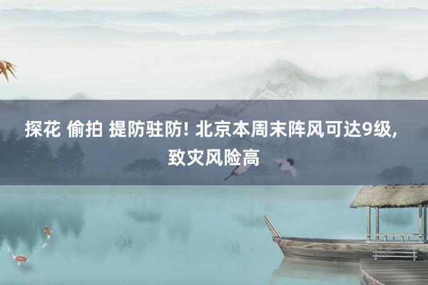探花 偷拍 提防驻防! 北京本周末阵风可达9级， 致灾风险高